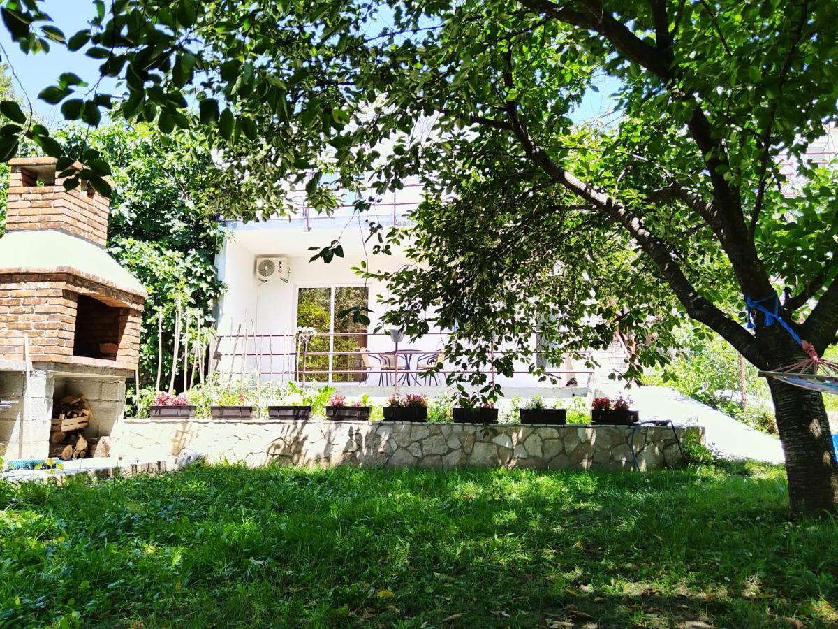 Apartments Pasha بلاغاي المظهر الخارجي الصورة